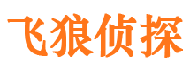 印台市私家侦探